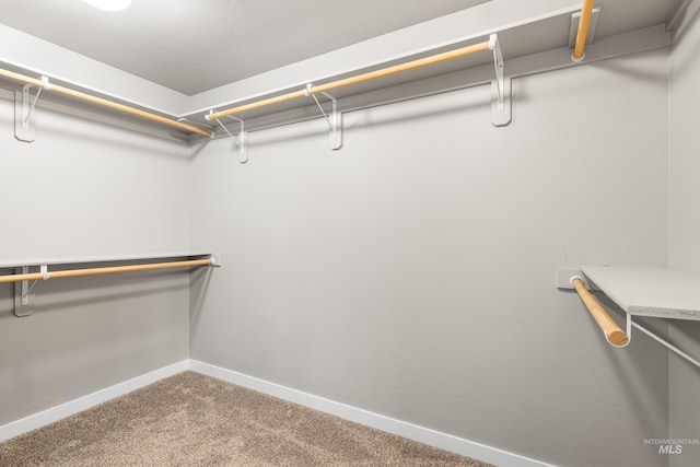 11661 W Baserri, Boise, ID 83709 - spacious closet with carpet floors