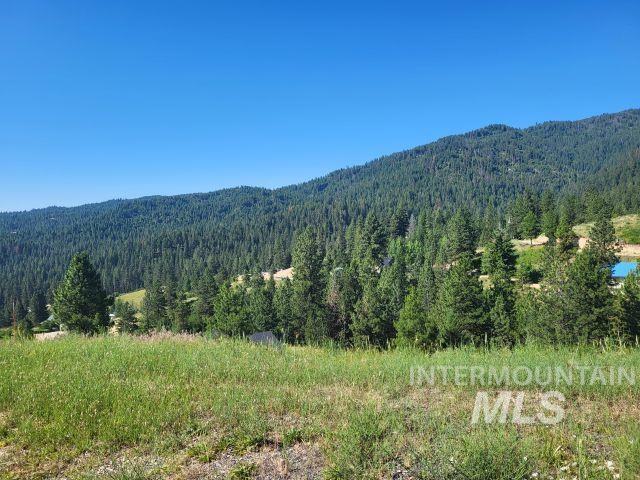 7 Ridgetop Pl, Boise, ID 83716 - mountain view with a heavily wooded area