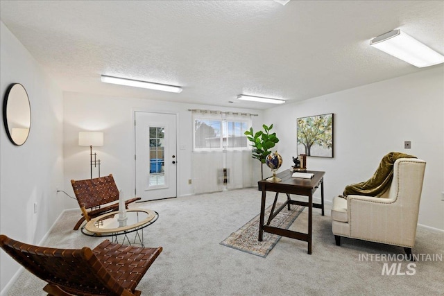 sitting room featuring a textured ceiling and carpet floors