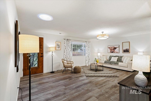 living room featuring hardwood / wood-style floors and a textured ceiling