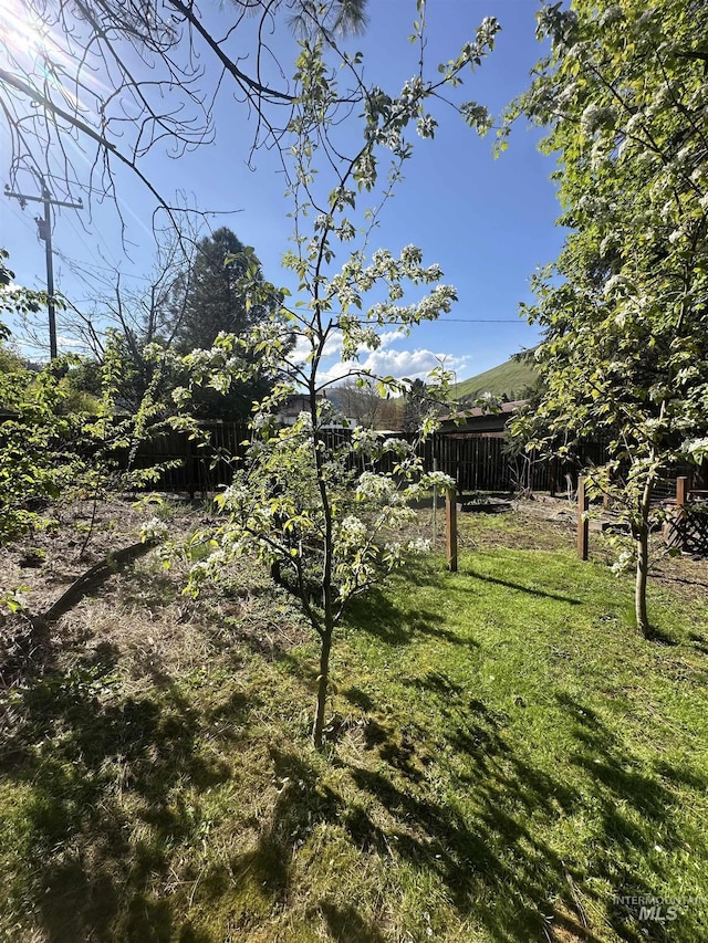 view of yard featuring fence