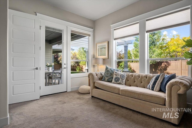 2357 N Synergy Pl, Eagle, ID 83616 - living room with carpet and healthy amount of natural light