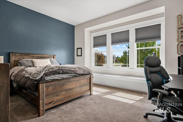 2357 N Synergy Pl, Eagle, ID 83616 - bedroom with carpet flooring and an office area