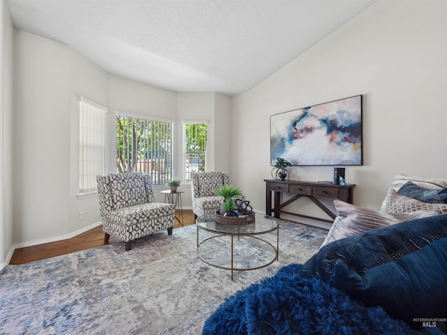 1415 E Lake Crk, Meridian, ID 83642 - living area with wood finished floors, baseboards, lofted ceiling, and a textured ceiling