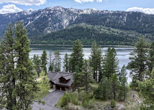 20 Shore Crest Ct, Donnelly, ID 83615 - view of mountain backdrop featuring a forest and a nearby body of water