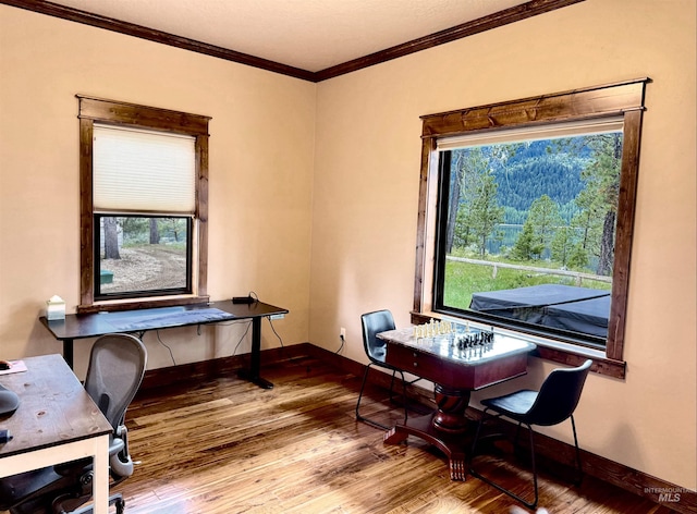 20 Shore Crest Ct, Donnelly, ID 83615 - office space with wood finished floors, baseboards, and crown molding