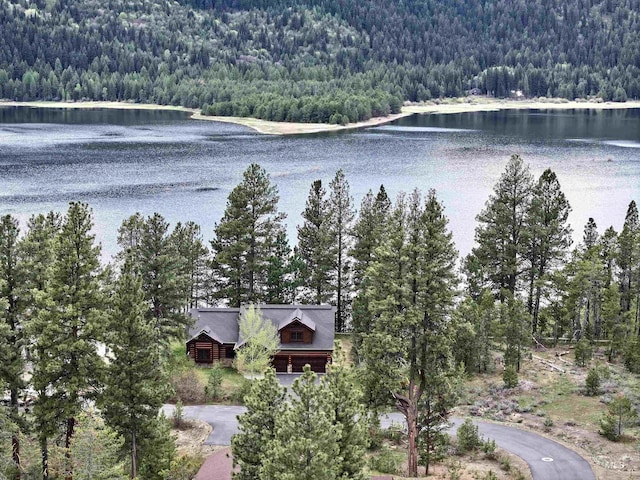 20 Shore Crest Ct, Donnelly, ID 83615 - water view with a heavily wooded area