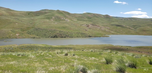 TBD Succor Creek, Homedale ID, 83628 land for sale