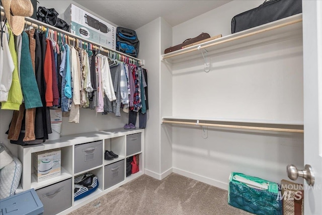 walk in closet featuring carpet floors