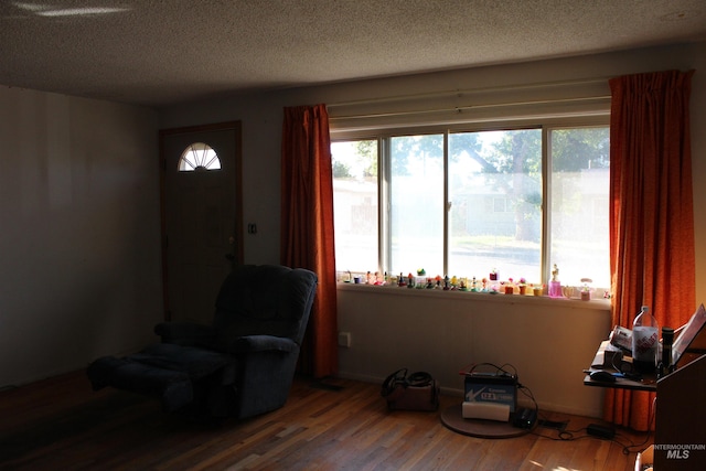 sitting room featuring a textured ceiling and hardwood / wood-style flooring