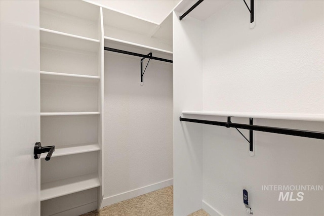 spacious closet featuring carpet flooring