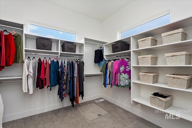 walk in closet featuring carpet floors and visible vents