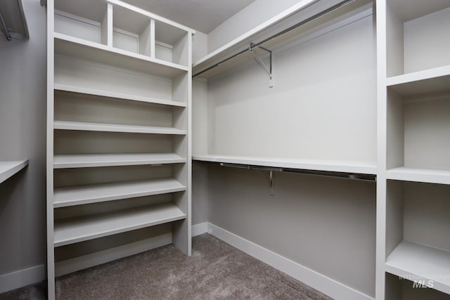 275 Meadow View Dr, Payette, ID 83661 - walk in closet featuring carpet flooring