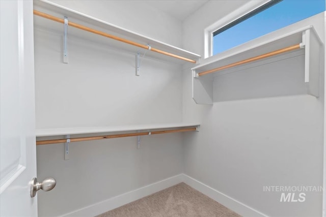 19322 N Shepherds Pie Pl, Boise, ID 83714 - walk in closet with carpet