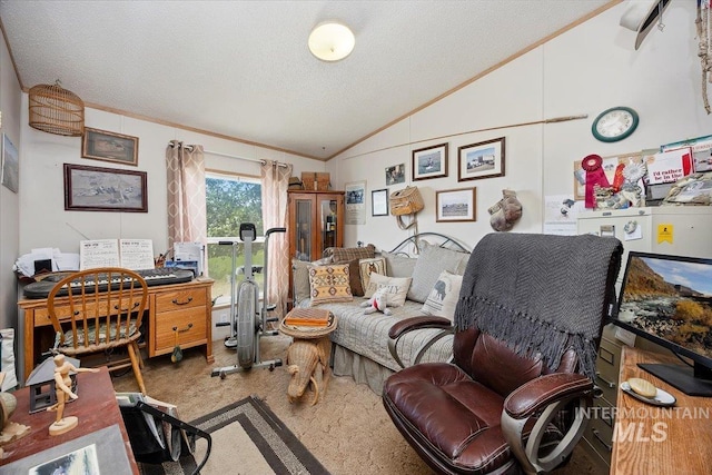 103 W 420 N, Shoshone, ID 83352 - carpeted office space featuring lofted ceiling, ornamental molding, and a textured ceiling
