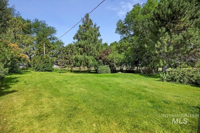103 W 420 N, Shoshone, ID 83352 - view of grassy yard