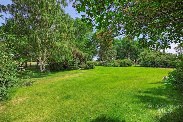 103 W 420 N, Shoshone, ID 83352 - view of grassy yard