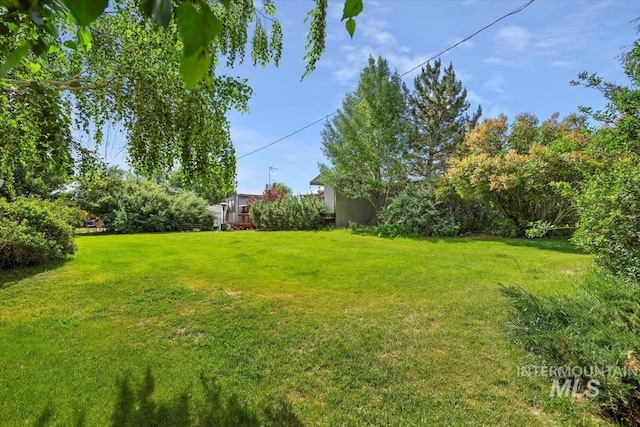 103 W 420 N, Shoshone, ID 83352 - view of green lawn