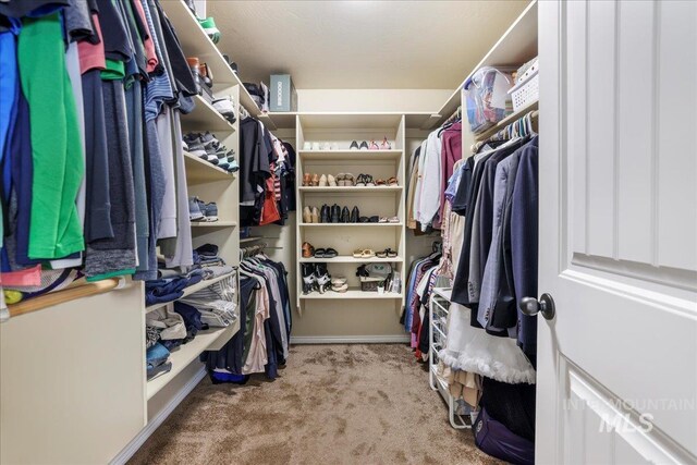1021 Ballard Ln, Kimberly, ID 83341 - spacious closet with carpet