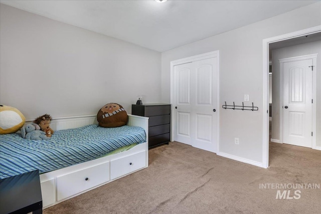 1021 Ballard Ln, Kimberly, ID 83341 - bedroom with carpet floors and a closet
