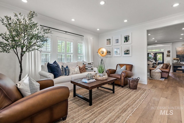 living room with light hardwood / wood-style floors, crown molding, and a healthy amount of sunlight