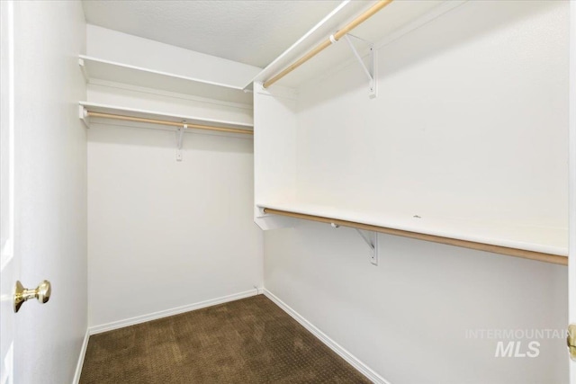 spacious closet with carpet flooring