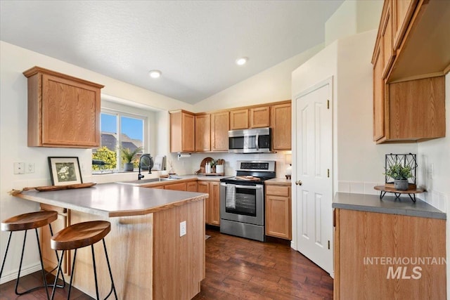 kitchen with a peninsula, stainless steel appliances, a sink, dark wood-style floors, and vaulted ceiling