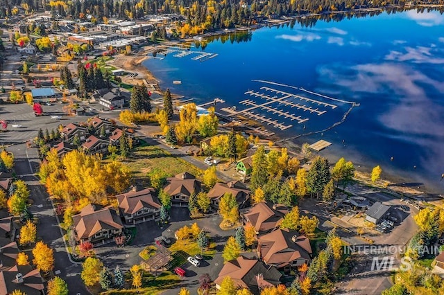 1391 Greystone Dr, Mccall, ID 83638 - bird's eye view of a large body of water and a marina