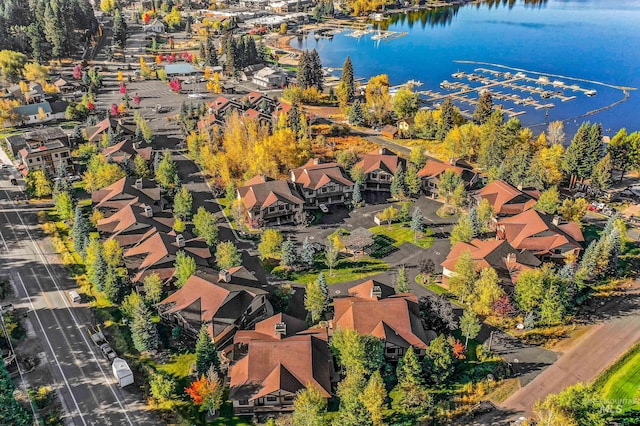 1391 Greystone Dr, Mccall, ID 83638 - view of property location with a large body of water