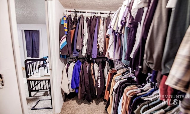 611 E Hawaii Ave, Nampa, ID 83686 - walk in closet with carpet floors