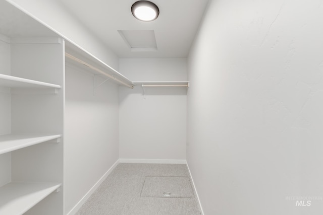 5541 S Lokie Ave, Meridian, ID 83642 - walk in closet with attic access and carpet flooring