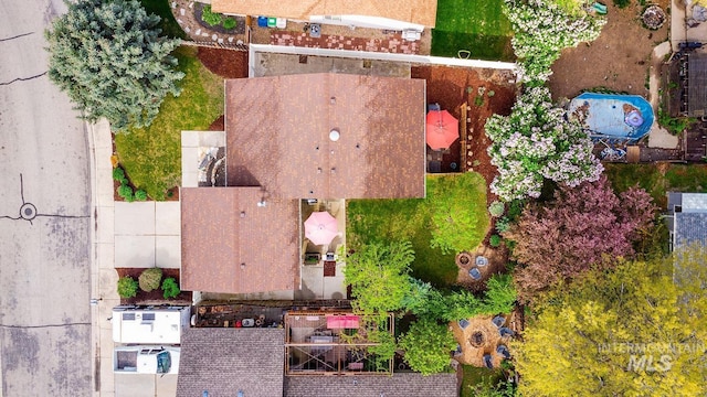 bird's eye view