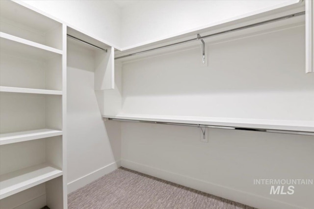 2391 E Snocreek Dr, Eagle, ID 83616 - walk in closet with light colored carpet