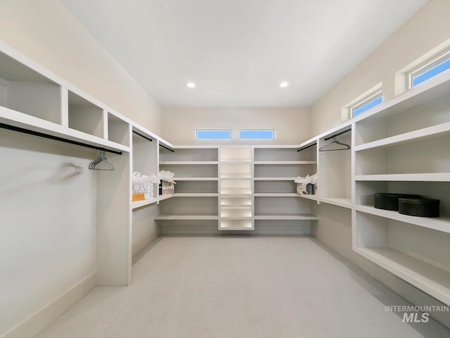 6241 W Strant St, Eagle, ID 83616 - spacious closet featuring light colored carpet