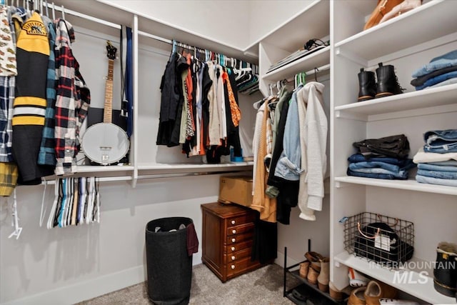 walk in closet with light colored carpet