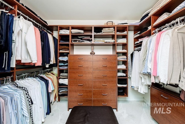 view of walk in closet