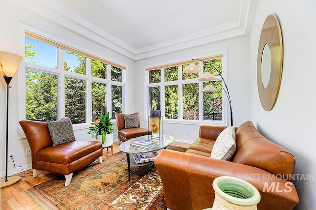sunroom / solarium with healthy amount of natural light