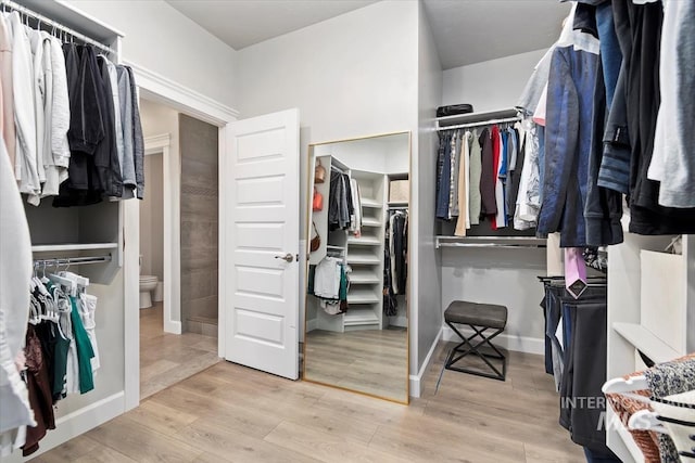 walk in closet featuring wood finished floors