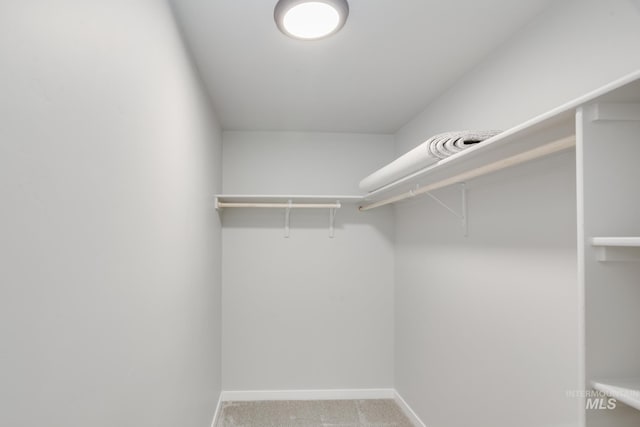 walk in closet with light carpet