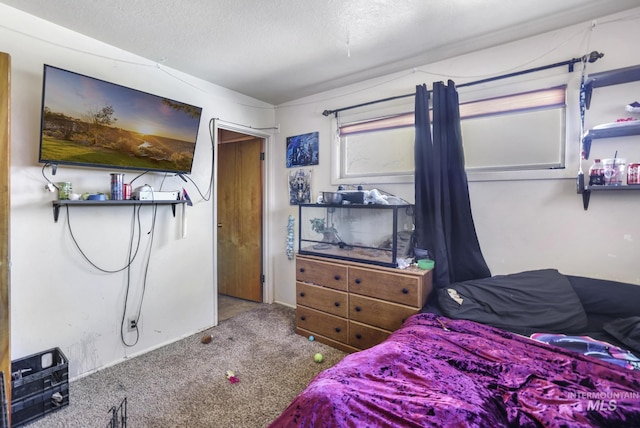 bedroom with carpet floors and a textured ceiling