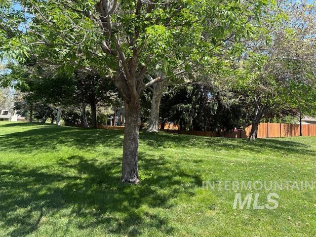 3707 N Jullion Way, Boise, ID 83704 - view of yard