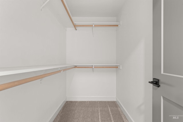 spacious closet featuring light colored carpet