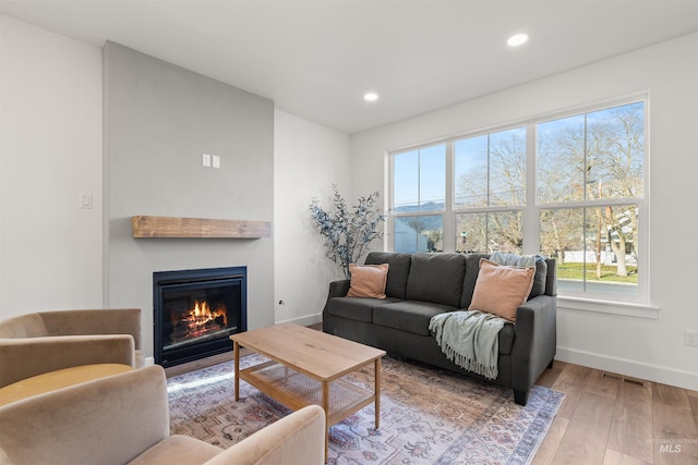 living room featuring light hardwood / wood-style floors