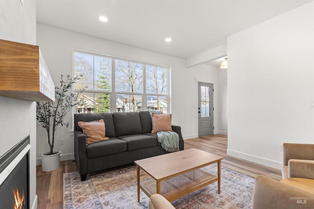 living room featuring light hardwood / wood-style floors