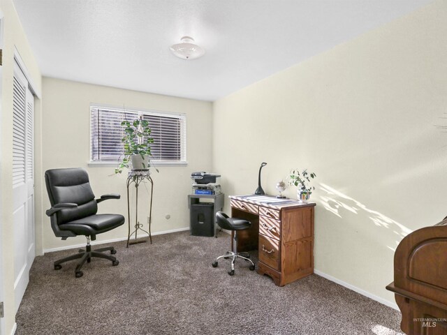 143 E Morris Ct, Kuna, ID 83634 - office space featuring carpet and baseboards