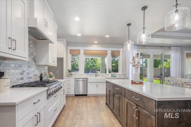 1864 N Highbury Way, Eagle, ID 83616 - kitchen featuring appliances with stainless steel finishes, dark brown cabinets, white cabinetry, healthy amount of natural light, and recessed lighting