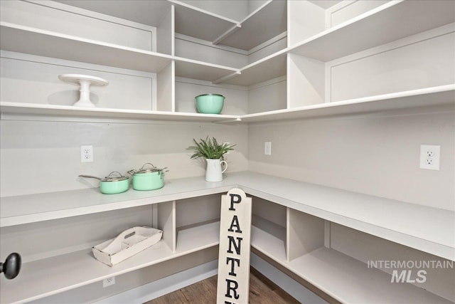 1864 N Highbury Way, Eagle, ID 83616 - view of pantry