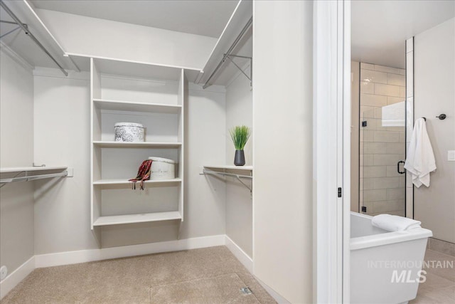 1864 N Highbury Way, Eagle, ID 83616 - spacious closet with carpet flooring