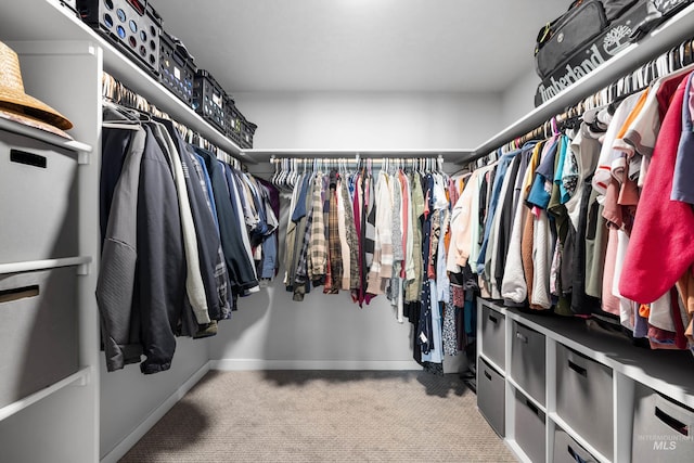 spacious closet with carpet flooring