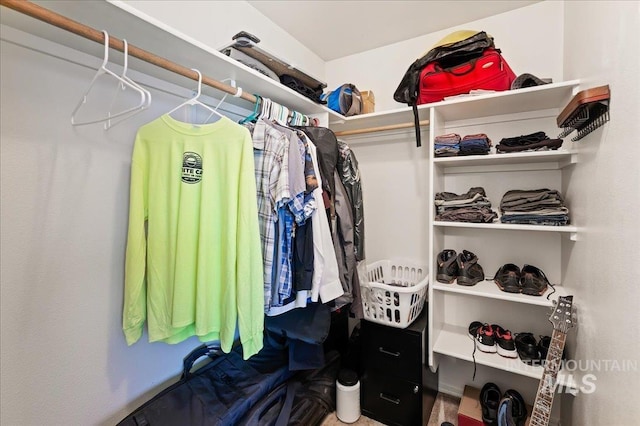 view of spacious closet